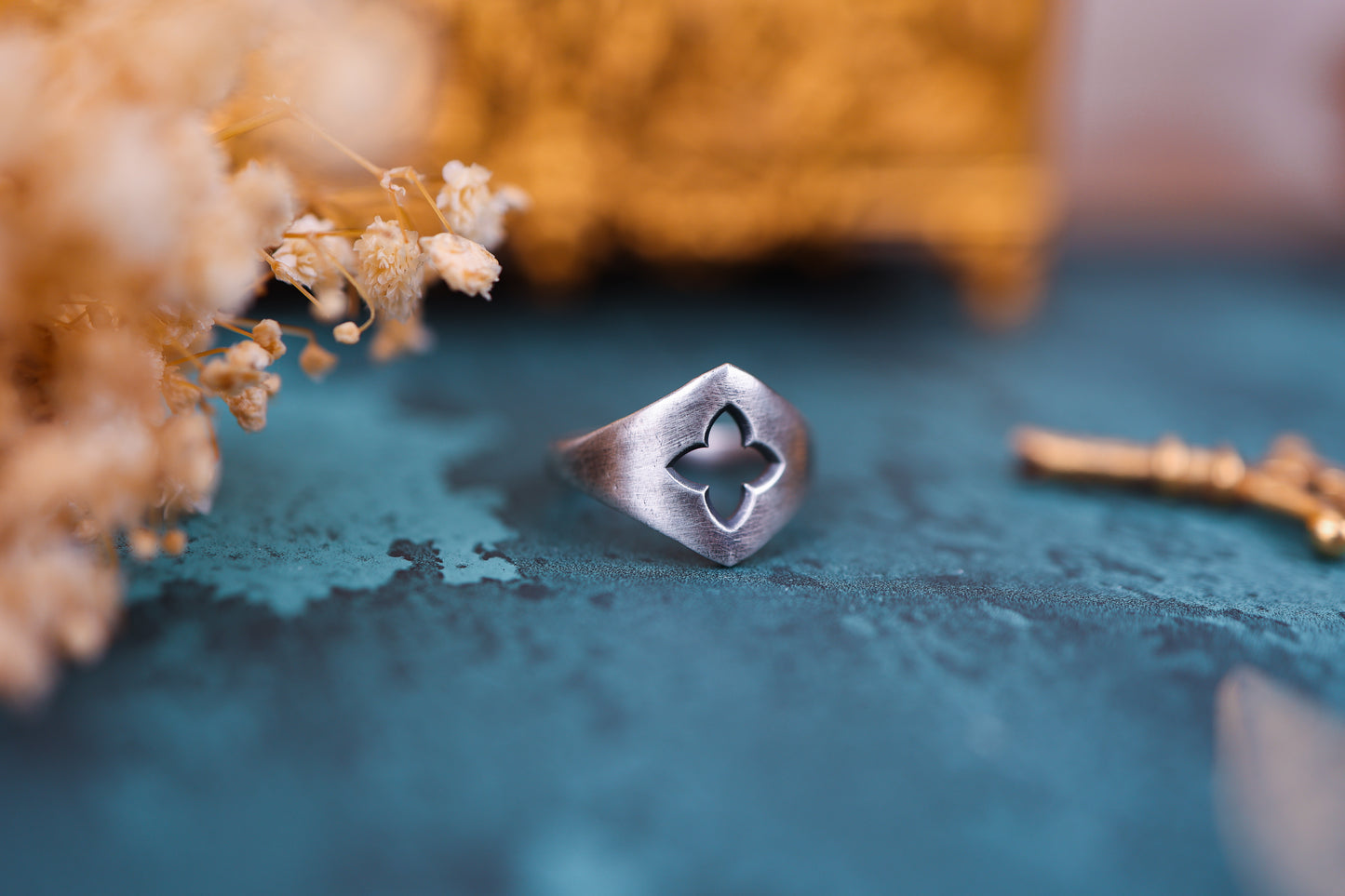 Protector Ring - Silver