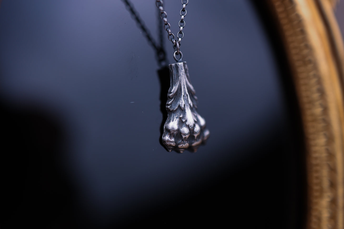 Lions Grip - Silver