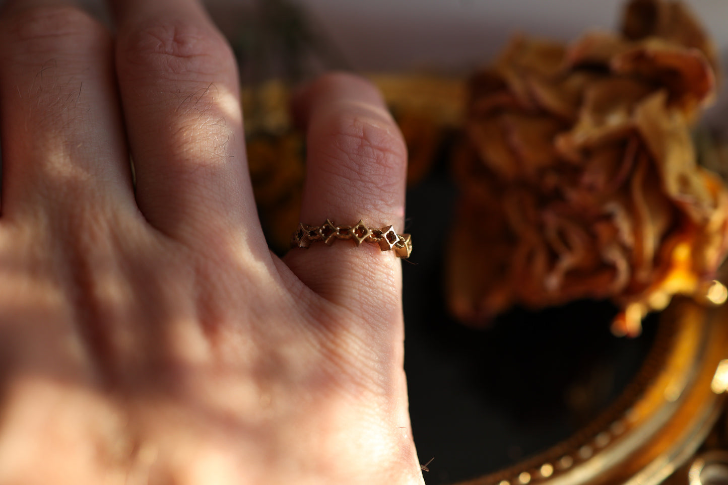 The Shackle Ring - Gold