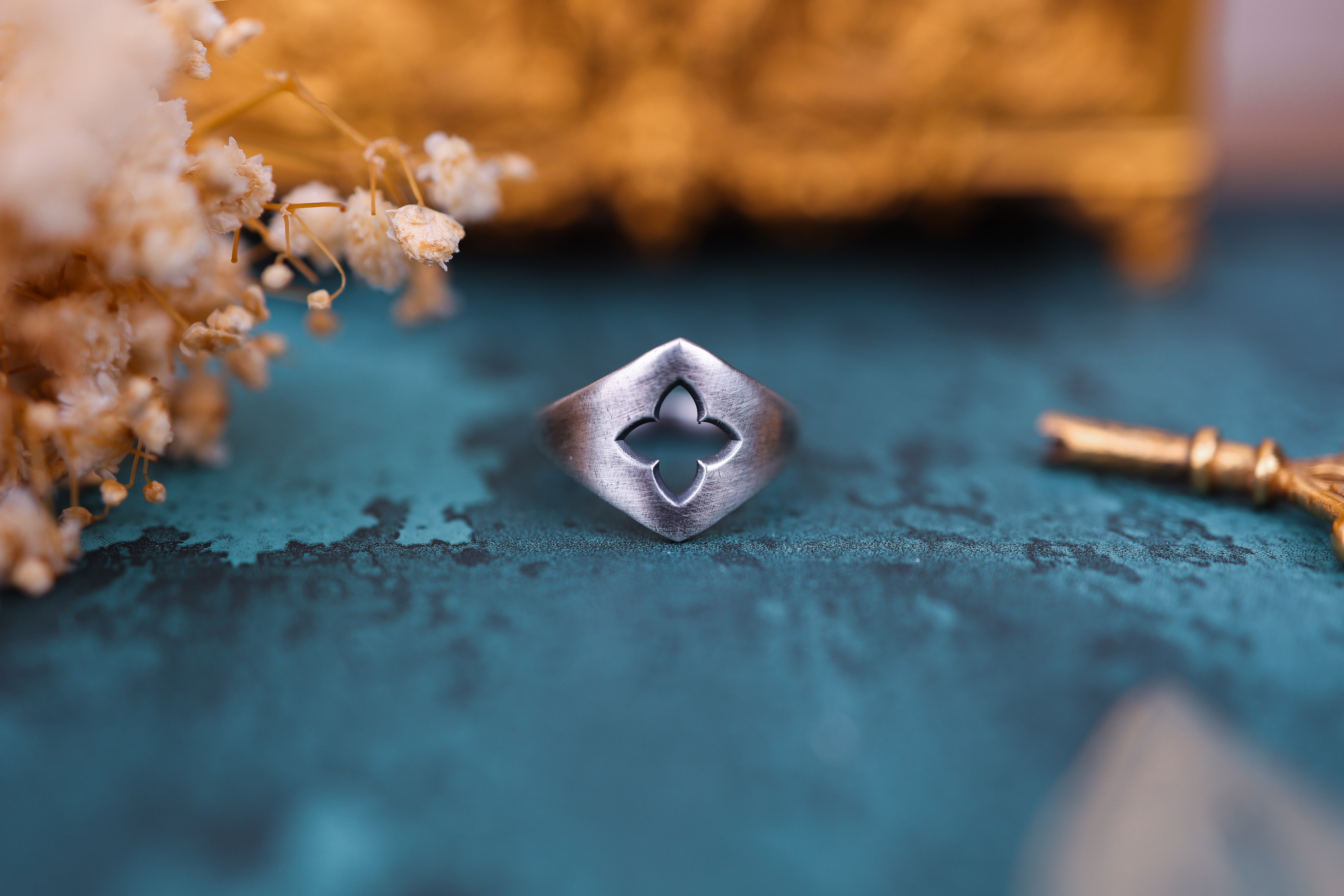Protetio Rings Protector Ring - Silver – cervostudio