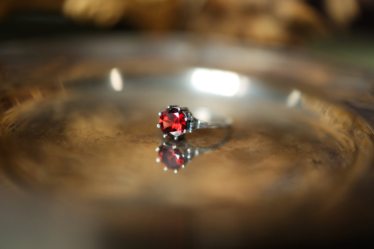 Plume Ring - Silver - Garnet