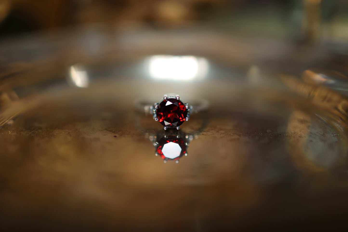 Plume Ring - Silver - Garnet