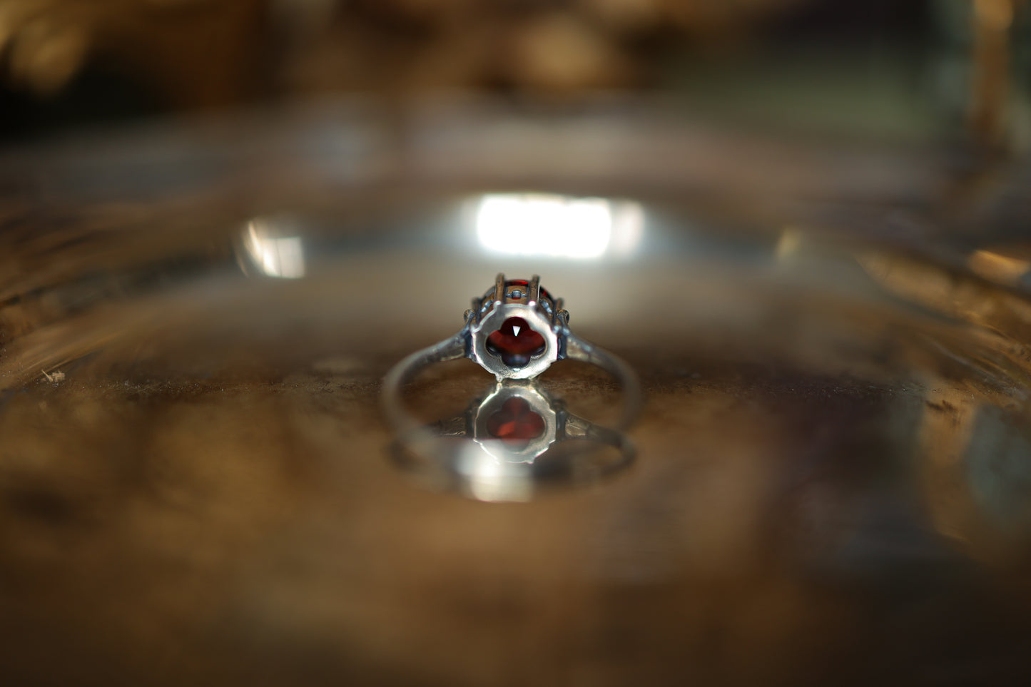 Plume Ring - Silver - Garnet