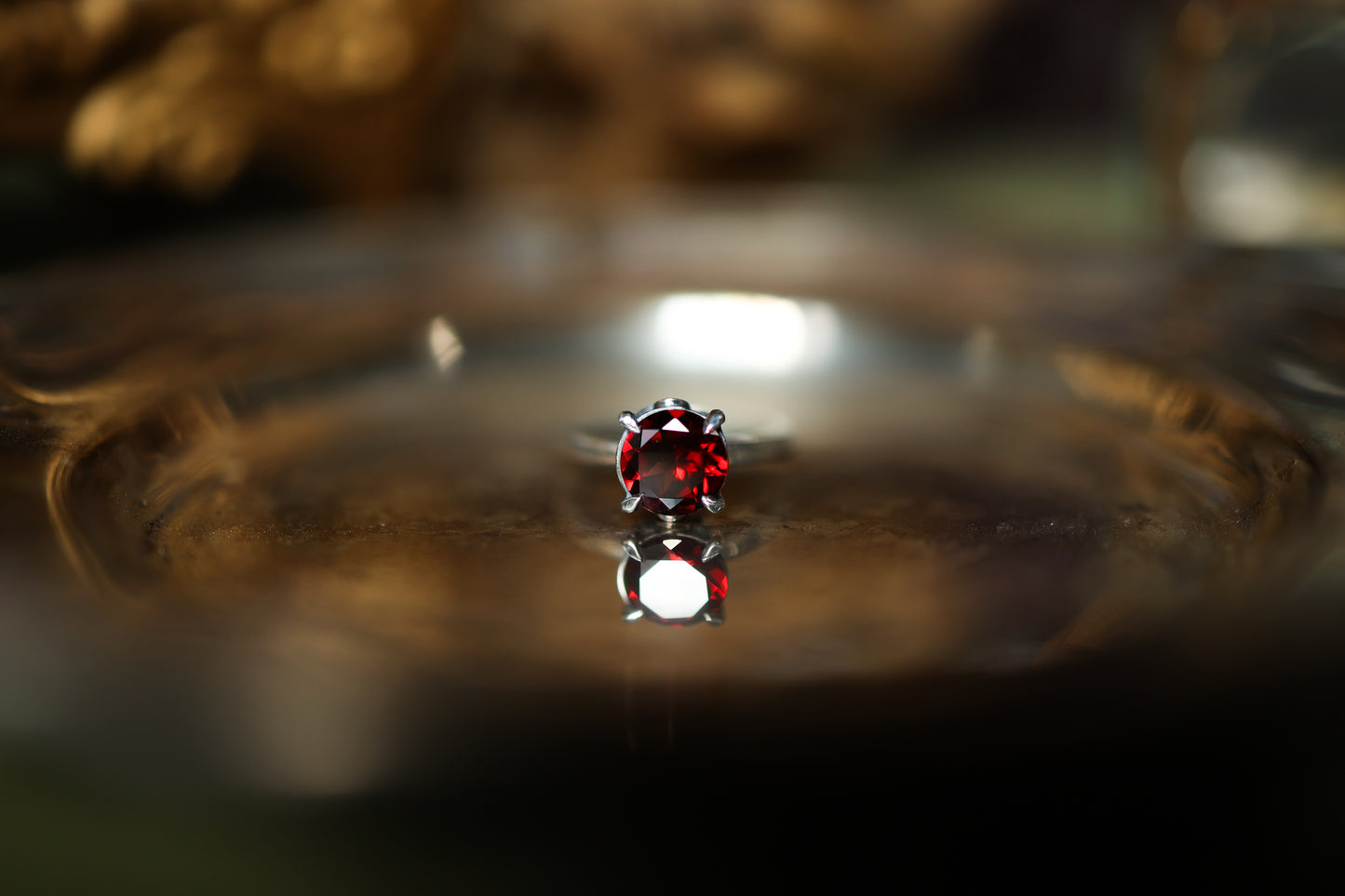 Regalia Ring - Silver - Garnet