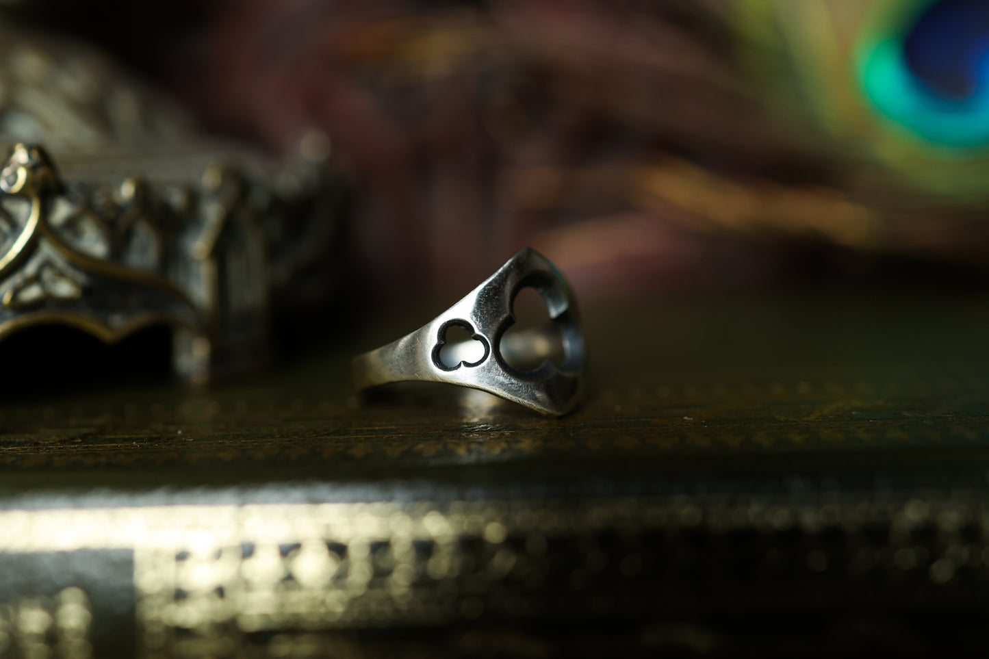 Triple Protector Ring - Silver